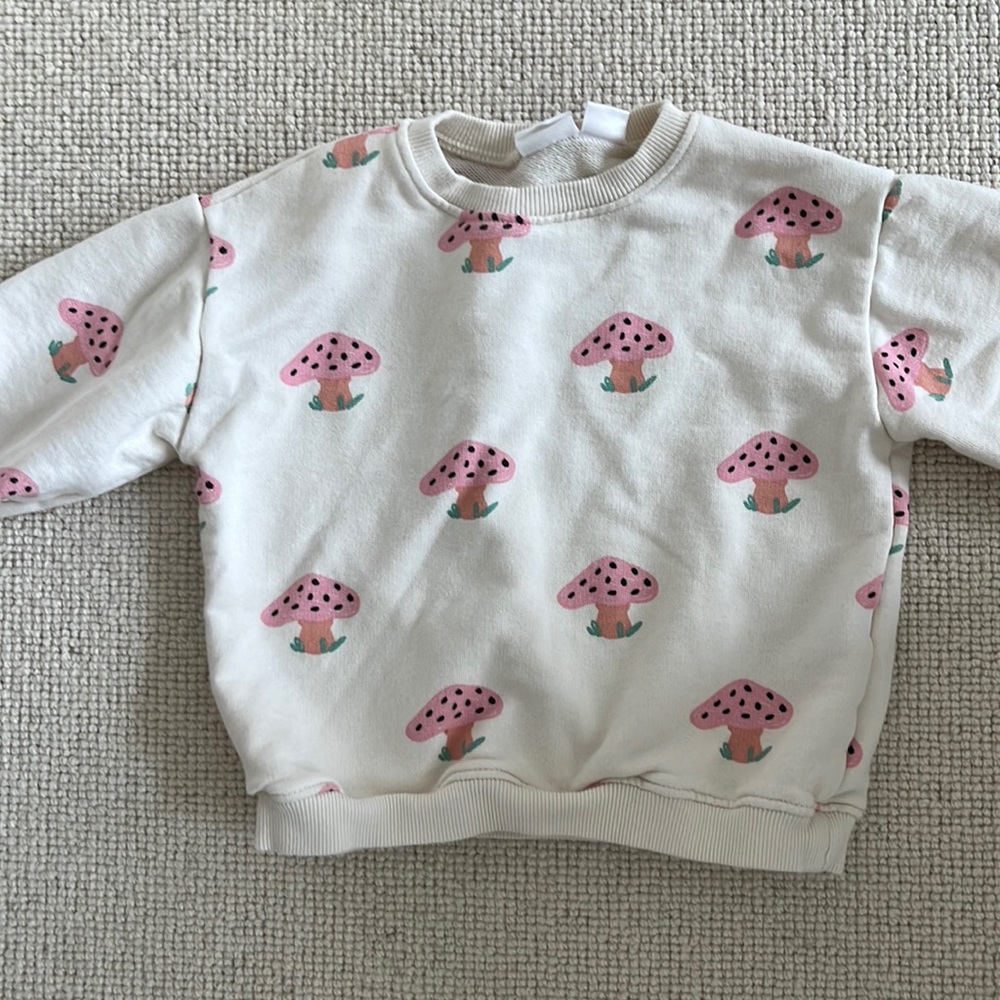 Zara Mushroom Toddler Sweatshirt, 3-4